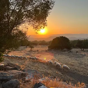 Su Saucu Hébergement de vacances Dorgali